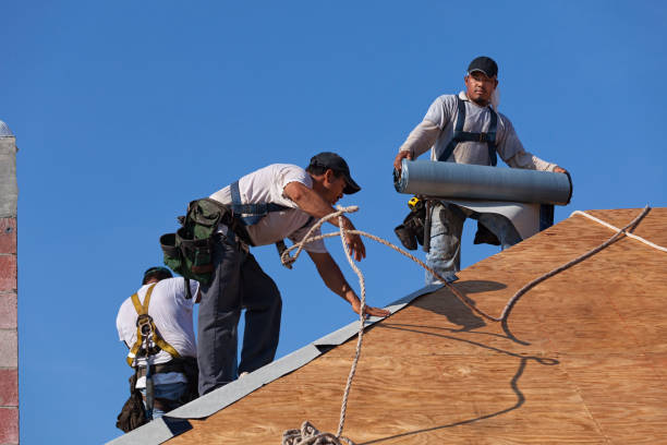 Best New Roof Installation  in Americus, GA